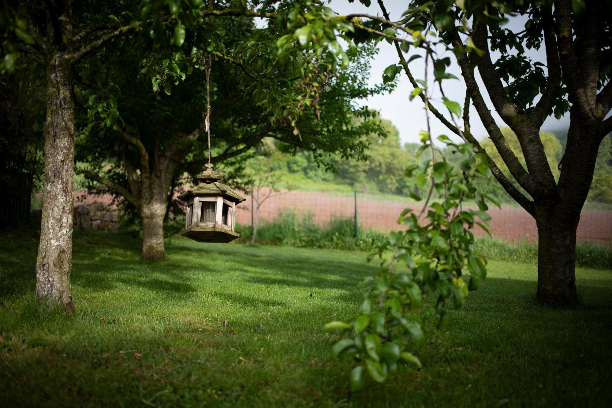 Le Chat Blanc Gîte Versols-et-Lapeyre Extérieur photo